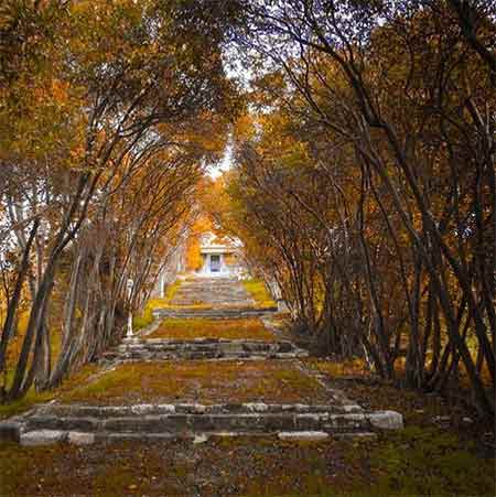 دانلود آهنگ لیلای عزیزوم امیر حسین کلوانی